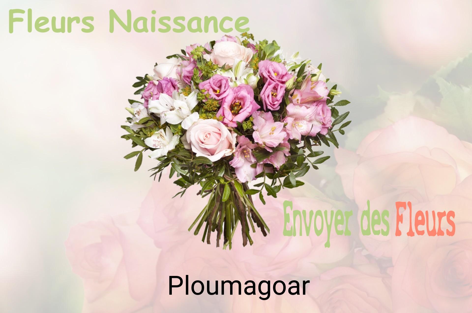 Bouquet de fleurs de naissance livré à Ploumagoar
